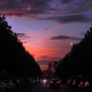 在武汉教书法的第八年 头像