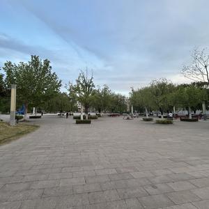 自在饼干 头像