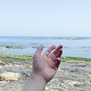 雏凉