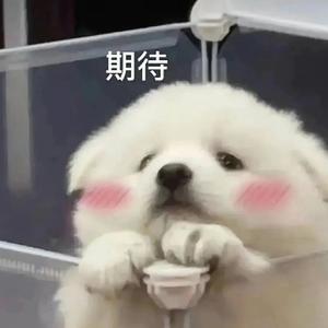 鱼乐乐趣