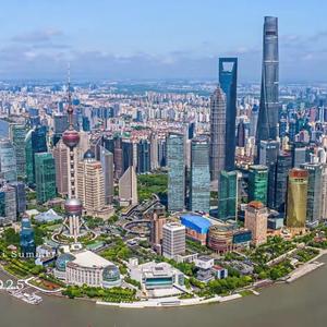 老陆游上海 头像