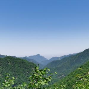 石油漫记 头像