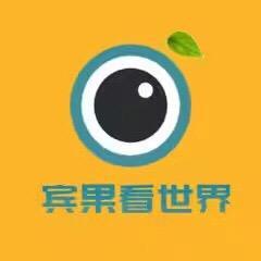 宾果看世界头像