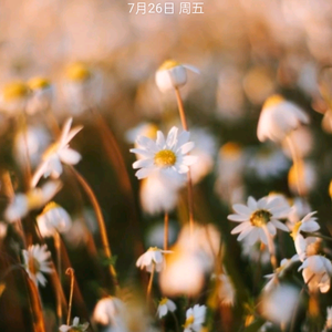 晨大宝和宸二宝 头像