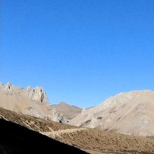 彩蝶的旅途 头像