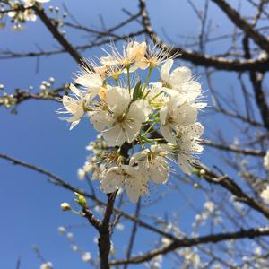 林间听风雨 头像