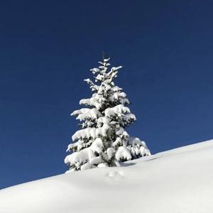 川南美图（穿搭分享） 头像