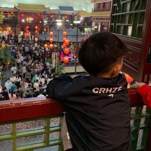 龙龙会武术