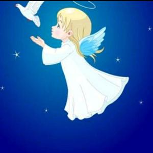 天使晓晓5o3w 头像