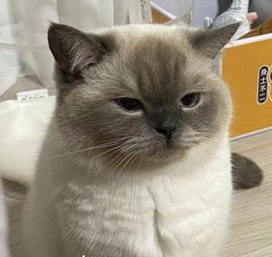 爱生活吴忠2F 头像