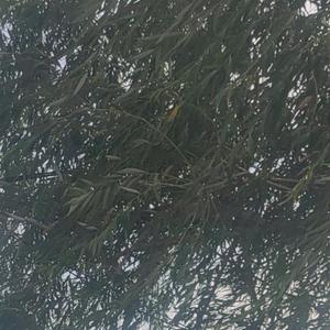 继而前行 头像