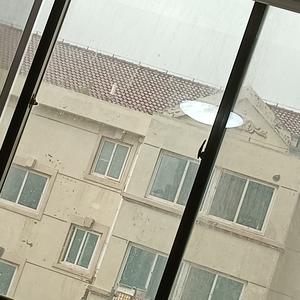 森林小雨滴 头像