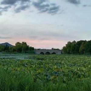 螽斯岭的过客 头像