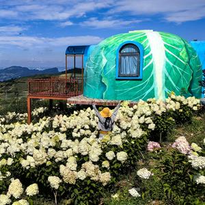 退休闲时光TC 头像