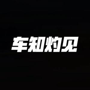车知灼见 头像