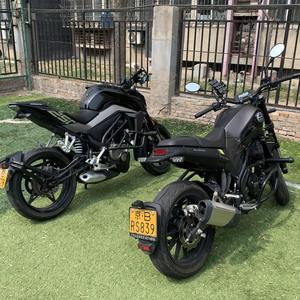 聪明的春风 头像