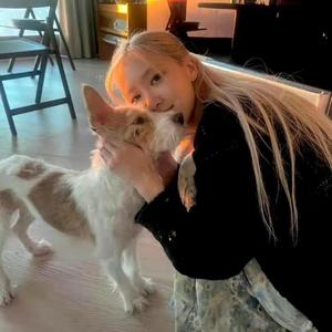 帅没有星期八 头像