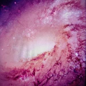 三农胖胖美食爱生活 头像