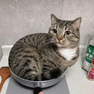 向上有阳光 头像