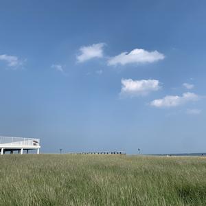 山田花海头像