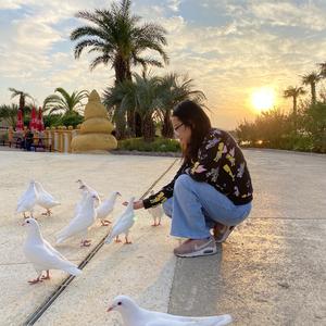 仙女座小飒 头像