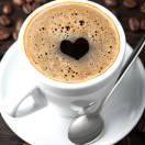 神秘的小鱼 头像