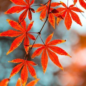 小鸥聊生活