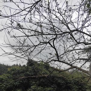 越过心里那片海 头像