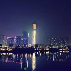 自由的百灵鸟v