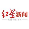 红星新闻科技圈 头像