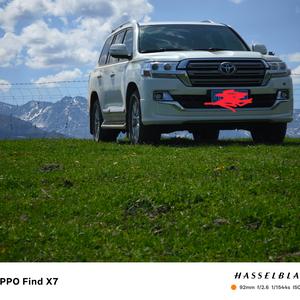 风姿卓越圆月L 头像