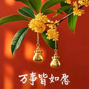 执着的梦想W 头像