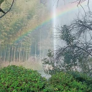 鱼饵炼金术师 头像