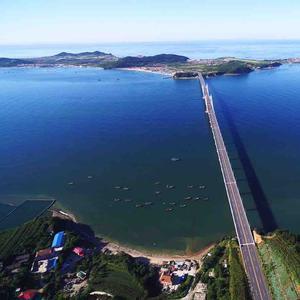 海岛查询网 头像