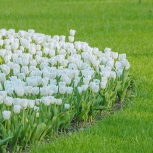 糖糖爱说话呀 头像