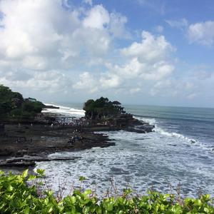 安逸小鱼ai