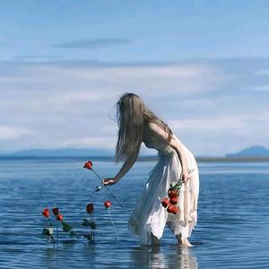 博学多才的豆浆爱剪辑 头像