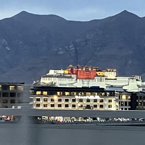 小牛在努力 头像