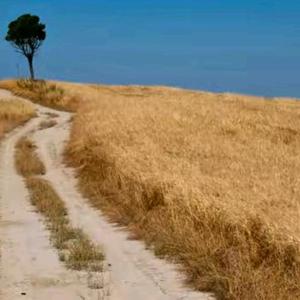 一往无前海风zi7QEIH 头像