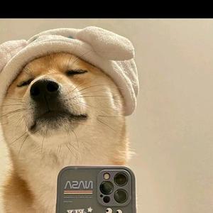 可口了百事 头像