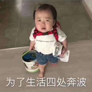 漫山秋装红 头像