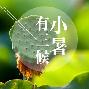 少小乡音河北梆子头像