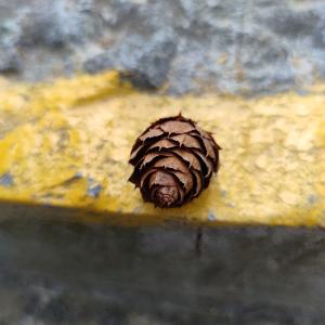 生活日记oSyg 头像