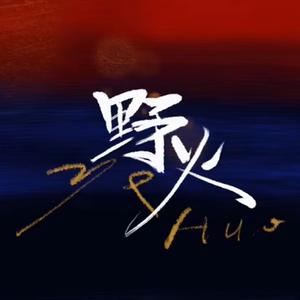 野火的颜色 头像