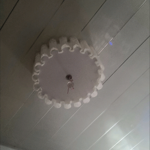 七台河小刘-现金收房 头像