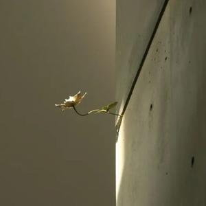 罗亼法罗眼镜博物空间 头像