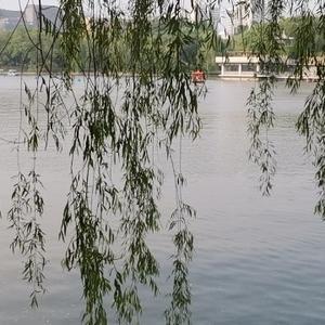 博学细无声 头像