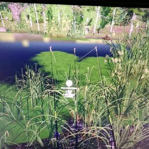 真的迷糊啊 头像