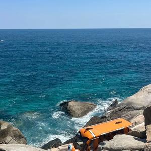 行走的小海豚 头像