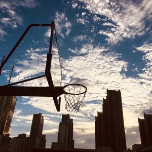 乐观的学历提升李 头像